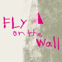 logo with the words fly on the wall on a beige background